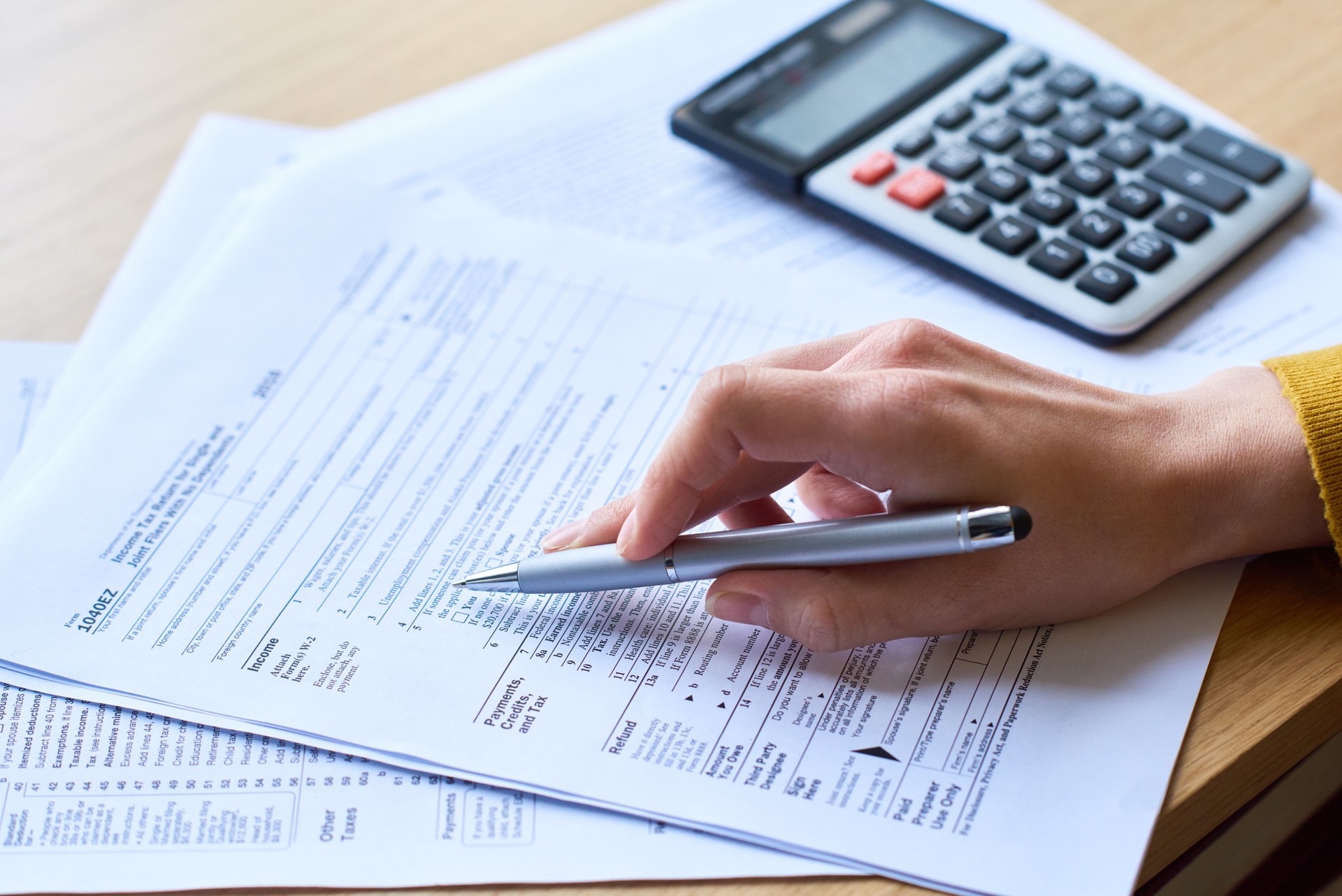 Tax audit